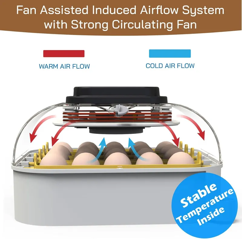 MATICOOPX 20 Egg Incubator with Humidity Display